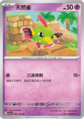 Natu #65  Terastal Grand Gathering Pokémon card